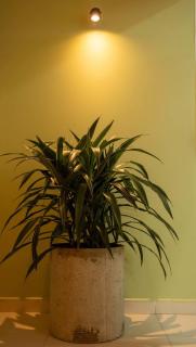 Luxury Living in Parque Lleras & Full House - 2