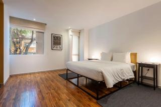 Homey 2BR in Condesa - 2