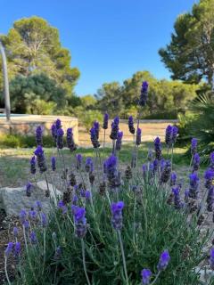 Seaside Serenity - Les tres Cales - 2
