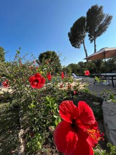 Seaside Serenity - Les tres Cales - 8