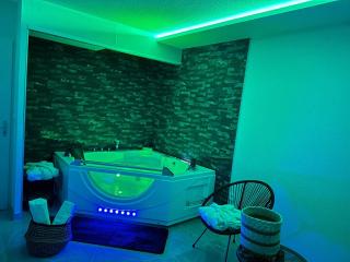 T3 5 étoile jacuzzi - Toulouse - 9