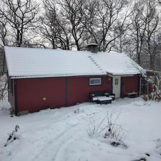 Ekbacken - naturskön stuga med närhet till havet - 7
