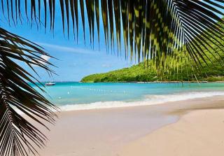 studio :paradise beach - 2