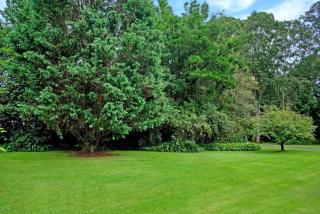 Kooyong, Kangaroo Valley - Kangaroo Valley - 1