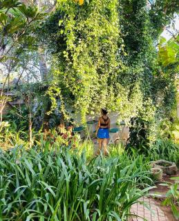Double Mango Villa - Katunayake - 1