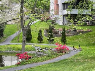 Lakeview - Tranquille private suite - Burke - 9