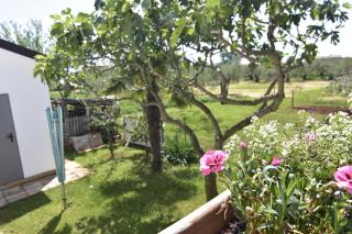 Apartments with a parking space Sveti Ivan, Umag - 22472 - Umag - 5