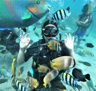 Dive and Trek Resort and Marine Sanctuary - Bauan - 6