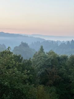 Ferienwohnung Panorama Oberkirn - Oberkirn - 7