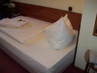 Boutiquehotel Goldhahn Bio Sport & Wellness - 8