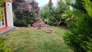 Memories of Malnad - 7