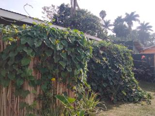 Gaia Eco Hub BnB - Fort Portal - 2