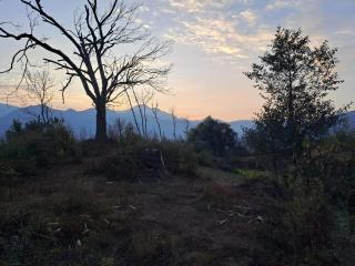 Dadaghare Homestay & View Point Restaurant - Panauti - 1