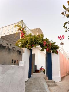 HOMESTAY ĐỒI GIÓ - Ấp Khánh Phước (1) - 5