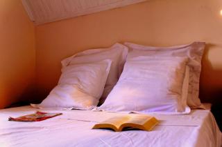 Charming House in Antananarivo with Office - Antananarivo - 3