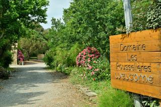 Domaine les Rousselieres - Olonne-sur-Mer - 8