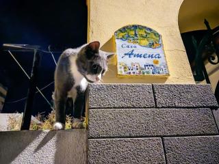 Casa Amena con ampio terrazzo e giardino - Città di Lipari - 8