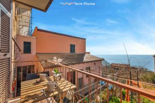 Il Nido delle Cinque Terre - Volastra - 6