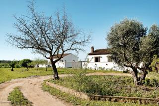 Las Calas de Roche - Roche - 9