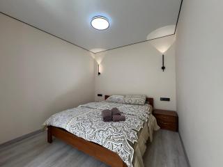 Apartments near Pechersk metro station - Kiev - 2