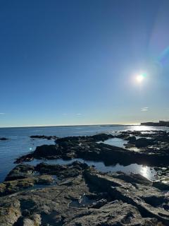 The Harbour Cottage - 7