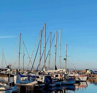 The Waterfront - Anstruther - 3