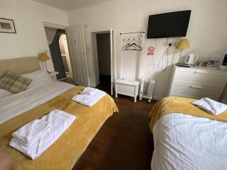Wheatsheaf Hotel - Newport - 1