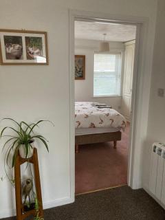Cat Court - Swaffham - 1