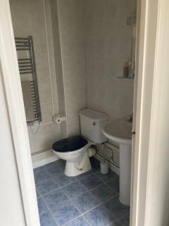 Cat Court - Swaffham - 4