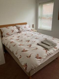Cat Court - Swaffham - 2