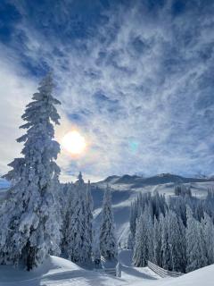 Jahorina: A Charming Apartment Retreat - Jahorina - 1