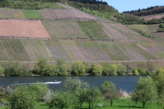 Ferienweingut Hansjosten - 6