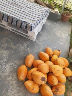 Papol et Tella guesthouse - Saint Francois - 2