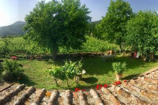 Panoramic view from stone Apartment- Pool and A/C - Montevarchi - 4