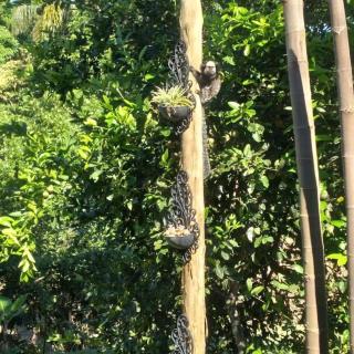 Sitio Canto Caipira - 6