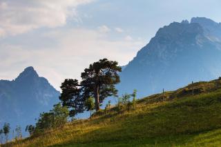 Ettlerlehen Chalets - 3