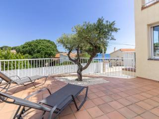 Planta baja tranquila con terraza, wifi, garaje, satélite a 50m de la playa en Les Tonyines, Llançà - ES-228-13 - Llança - 8