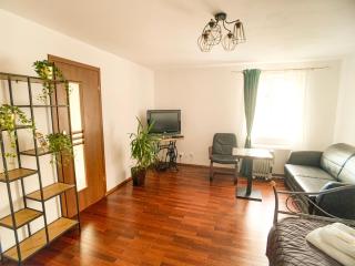 Apartament przy parku - Toruń - 5