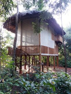EcoAraguaia Jungle Lodge - 0