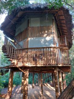 EcoAraguaia Jungle Lodge - 2