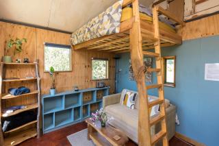 Cabin Westerlands - Selham - 9