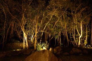 Kumage-gun - Glamping - Vacation STAY 73083v - Yakushima - 4