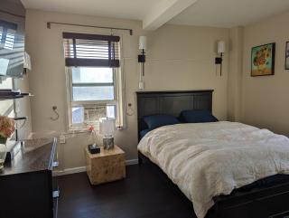 Fully renovated Manhattan gem - New York - 3
