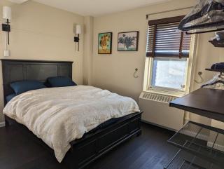 Fully renovated Manhattan gem - 2