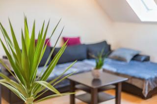 Lampl Haus - - 7