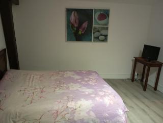 L'orée des 3 Rivières - 4