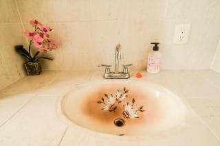 Ravens Nest Wellness Sanctuary - Ajijic - 1