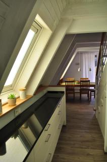 meinhaus-damp - Damp - 4