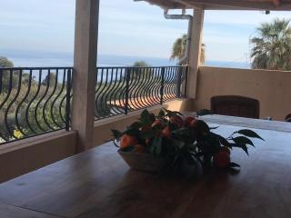 Appartement villa toit terrasse - Menton - 1