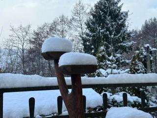 Medve Desag Ursul - 5